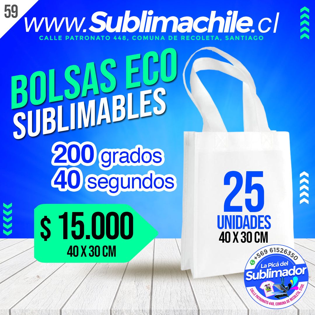 (59) bolsas grandes copia