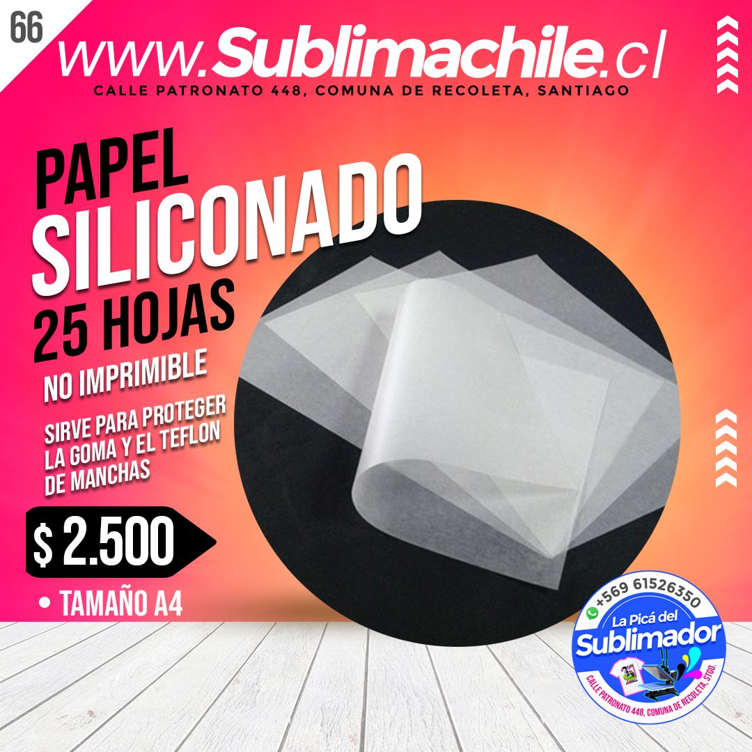 (66) siliconado copia