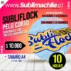 69 subliflock