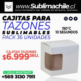 Pack 10 Relleno para Cojín 40x40cm NO sublimable - Sublimachile - Santiago  Chile