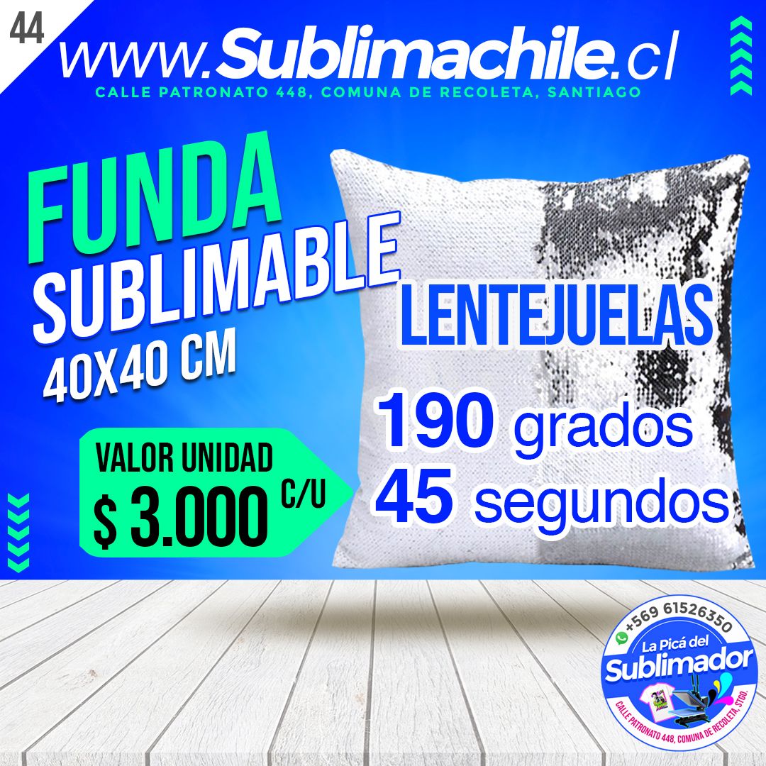 (44) cojin lentejuela copia