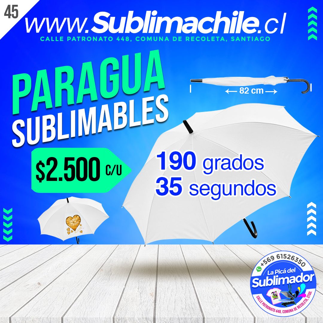 (45) paragua copia