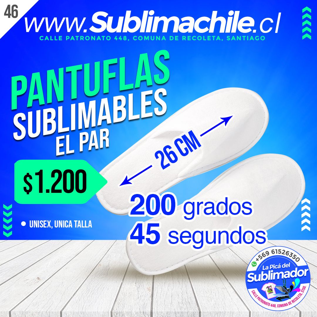 (46) pantuflas copia