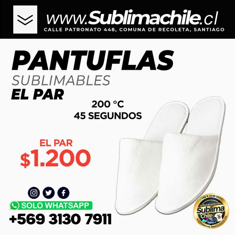 Pantuflas 3
