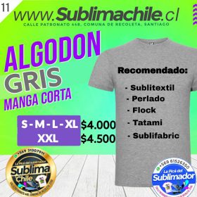 Polera algodón gris - Gris, L