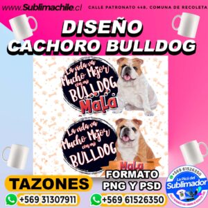 2 Diseños de Bulldog para Sublimar en Tazones Editables - PSD