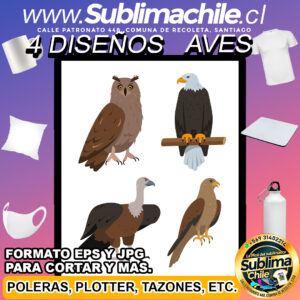 4 Diseños de Aves para Sublimar - JPG y EPS