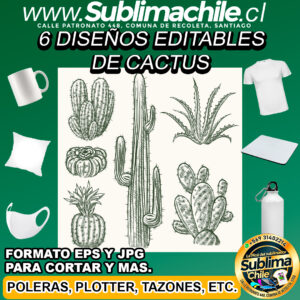 6 Diseños editables de cactus para sublimar - EPS, JPG
