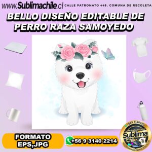 Bello diseño editable de perro raza samoyedo para sublimar - EPS,JPG