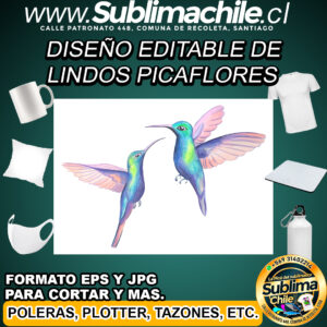Diseño editable de hermosos picaflores para sublimar - EPS, JPG