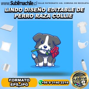 Lindo diseño editable de perro raza collie para sublimar - EPS,JPG