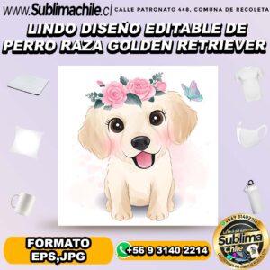 Lindo diseño editable de perro raza golden retriever para sublimar- EPS,JPG